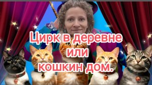 Цирк в деревне или кошкин дом,