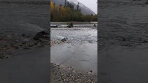 Магнитная рыбалка в реке Псыш, п. Архыз😍