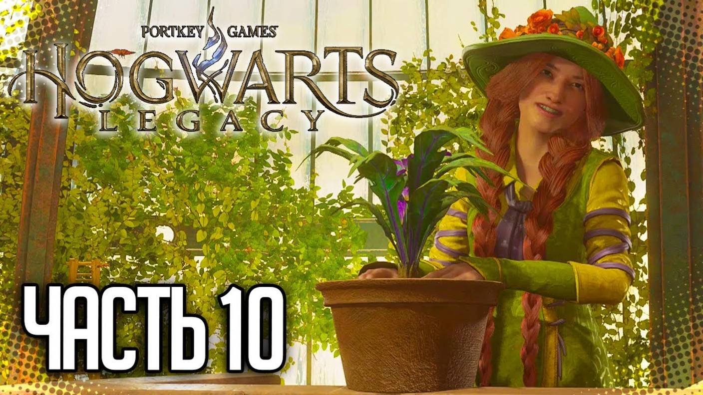ПРОХОЖДЕНИЕ HOGWARTS LEGACY – ЗАНЯТИЯ ПО ЗЕЛЬЕВАРЕНИЮ #10