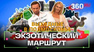 Выходные в Подмосковье. Одинцово. Все активности за один день. Шубенков. Засобина