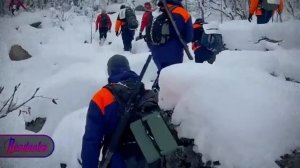 Семья исчезла в тайге, но телефон нашли на трассе. Что скрывают следователи?