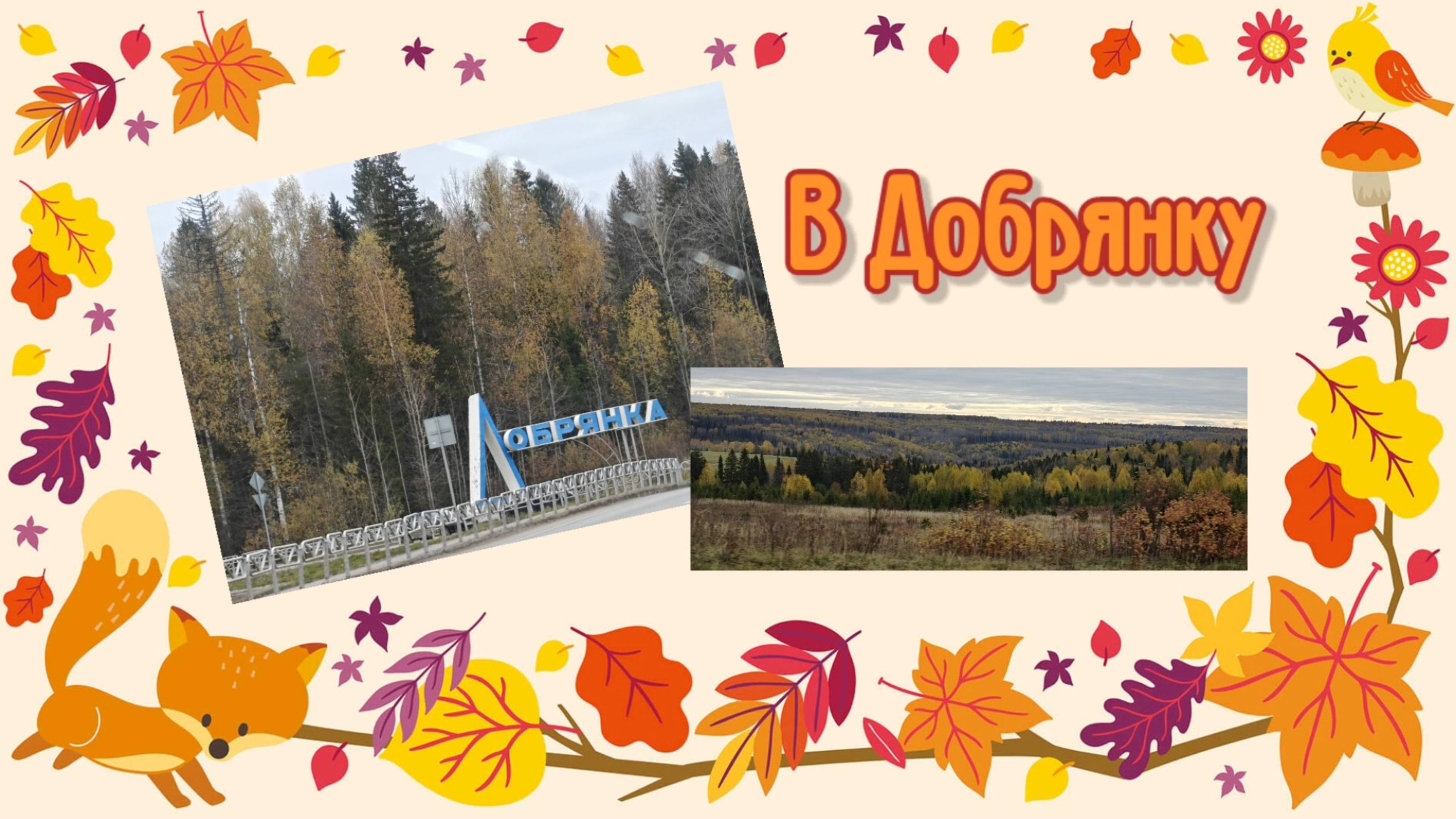 В Добрянку 4.10.2025 года