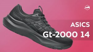 Кроссовки ASICS Gt-2000 14