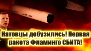 ДОБУЗИЛИСЬ! Первая ракета Фламинго СБИТА! Сенсационные выводы после анализа обломков.