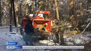 Поиск родных бойца РККА, очистка бора и обновление лифтов: дайджест новостей Кузбасса