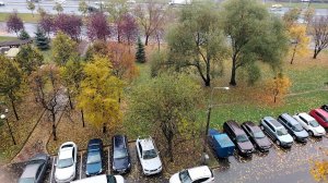 Осень в Москве, октябрь 2025