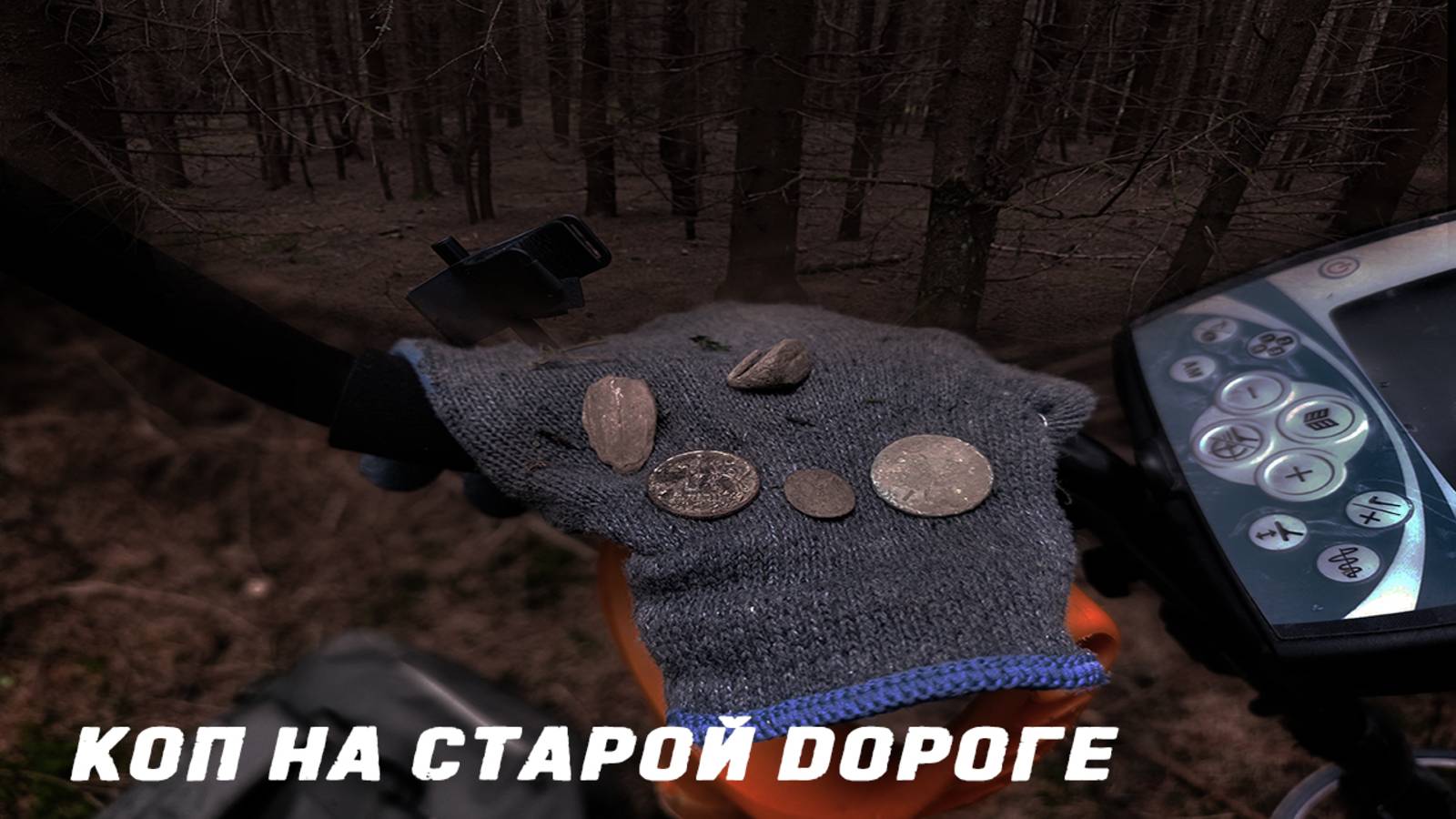 Лесной коп на старой дороге