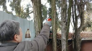 / Дачная хроника - 2025 /