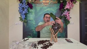 Основы ОрхоПосадки.