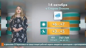 Погода в Старом Осколе на 14 октября