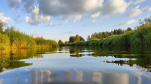 Сплав по рекам Рессета и Жиздра Калужской области