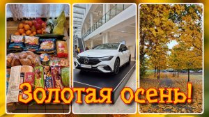 VLOG из 🇩🇪: Золотая осень. Город Бремен. Цены на машины. Закупка товаров. Вкуснейшие тефтели.