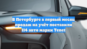В Петербурге в первый месяц продаж на учёт поставили 114 авто марки Tenet