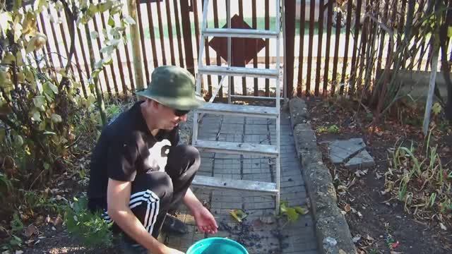 ВИНО для ЧАЙНИКОВ