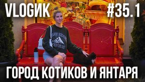VLOGик#35.1. ЛЕТИМ В КАЛИНИНГРАД. ЗЕЛЕНОГРАДСК - ГОРОД КОТОВ. ПРОГУЛКА ПО ГОРОДУ. БАЛТИЙСКОЕ МОРЕ.