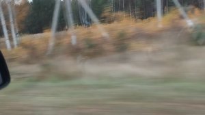 Пенза - Ахуны - Леонидовка - Золотарёвка - Канаевка Городище поехали по Пензенской области