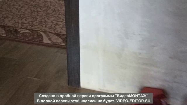 Пушистый Познаватель. Вступление