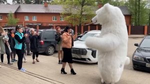 Заказать поздравление белого мишки Химки, Лобня, Красногорск, Долгопрудный, Реутов, Мытищи, Люберцы