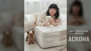 Приобретите анатомический матрац "Аскона" и ваш опорно-двигательный аппарат скажет вас спасибо!