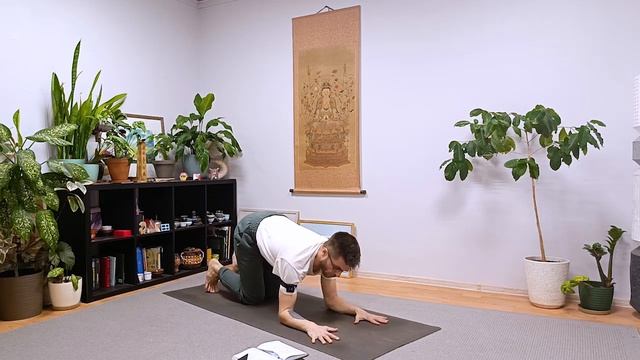 Как освоить стойку на предплечьях. Пинча маюрасана. Вришчикасана