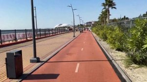 Сириус осенью