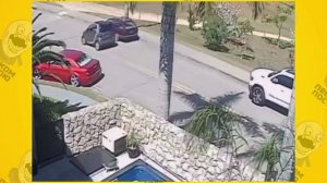 очень любит парковаться