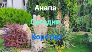 Анапа Сегодня Коротко 13.10.2025