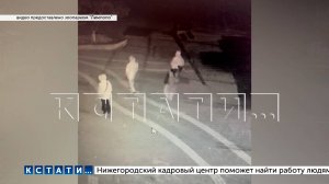 Подростки по ночам пробираются в закрытый зоопарк и бродят рядом с клетками опасных хищников