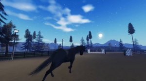 🐎👍🏻😎