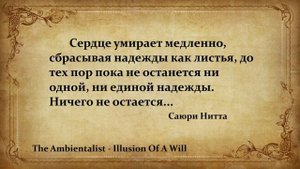 The Ambientalist - Illusion Of A Will