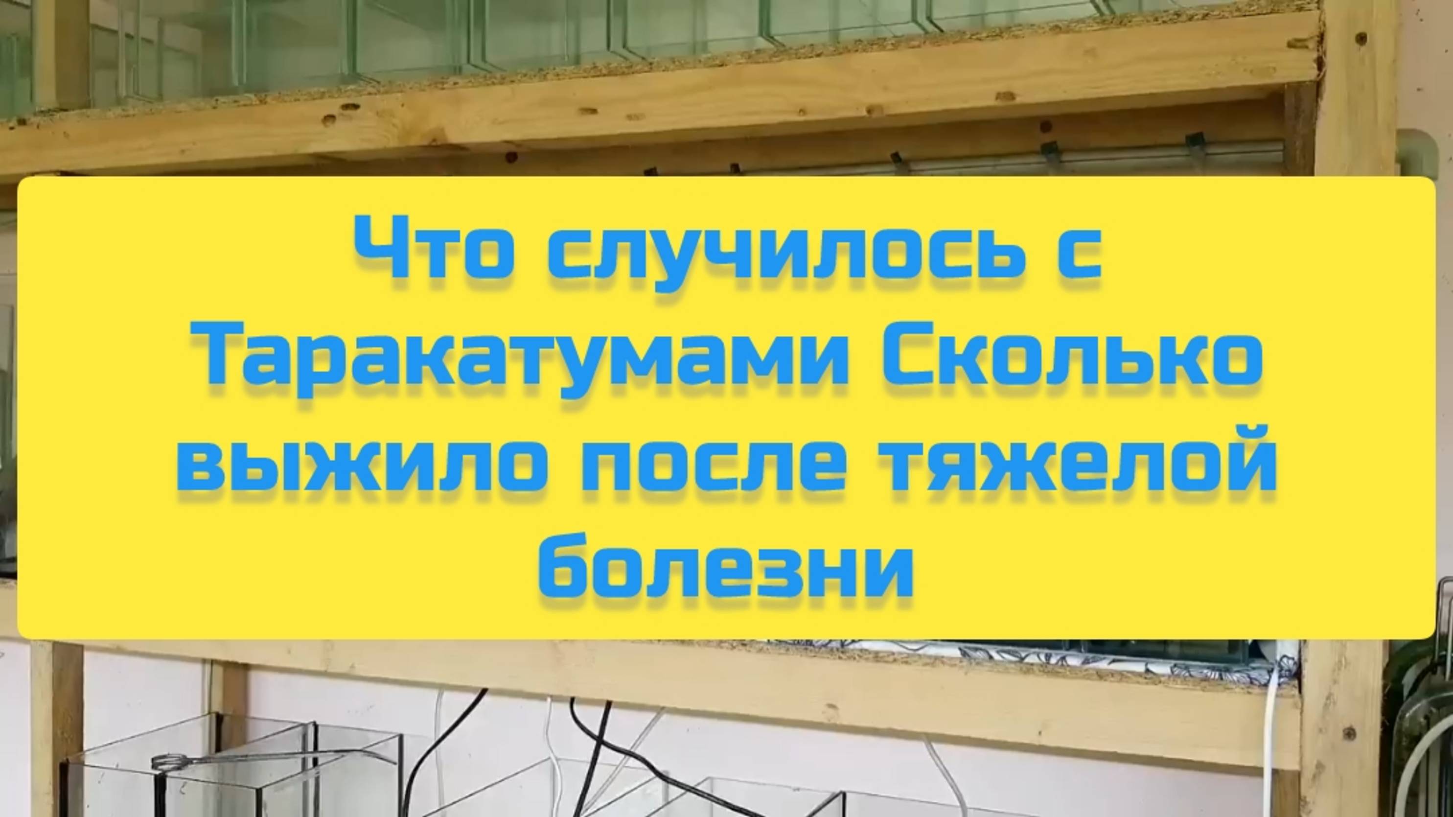 ЧТО СЛУЧИЛОСЬ С ТАРАКАТУМАМИ СКОЛЬКО ВЫЖИЛО ПОСЛЕ ТЯЖЁЛОЙ БОЛЕЗНИ