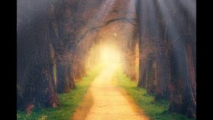 Прекрасное далеко