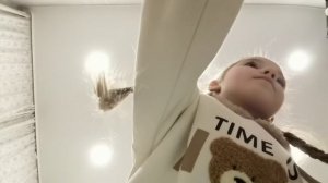 lv_0_20251013191546.mp4