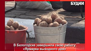 В «Ярмарке выходного дня» поучаствовали около 3 тысяч продавцов