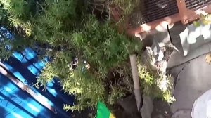 КАК РАЗМЕСТИТЬ ОБОРУДОВАНИЕ В ПОДВАЛЕ И ВЫВЕСТИ ДРЕНАЖ НА ВЕРХ?