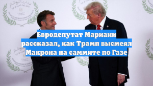 Евродепутат Мариани рассказал, как Трамп высмеял Макрона на саммите по Газе