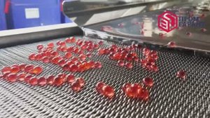 Линия производства джус боллов для bubble tea