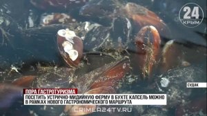 Вино, мидии и устрицы: новый гастромаршрут разработали в Крыму