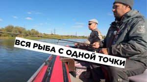 ДЕСЯТЬ ЩУК С ОДНОЙ ТОЧКИ!!! ВОЛОСЯКА - ПРИМАНКА, КОТОРАЯ СПАСЛА РЫБАЛКУ