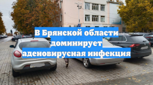 В Брянской области доминирует аденовирусная инфекция