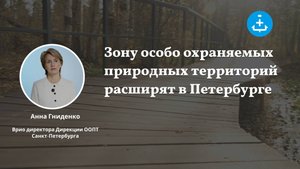 Зону особо охраняемых природных территорий расширят в Петербурге