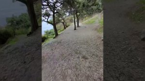 ялта - симеиз