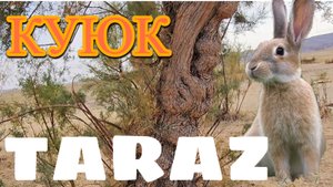 Прогулка на природу