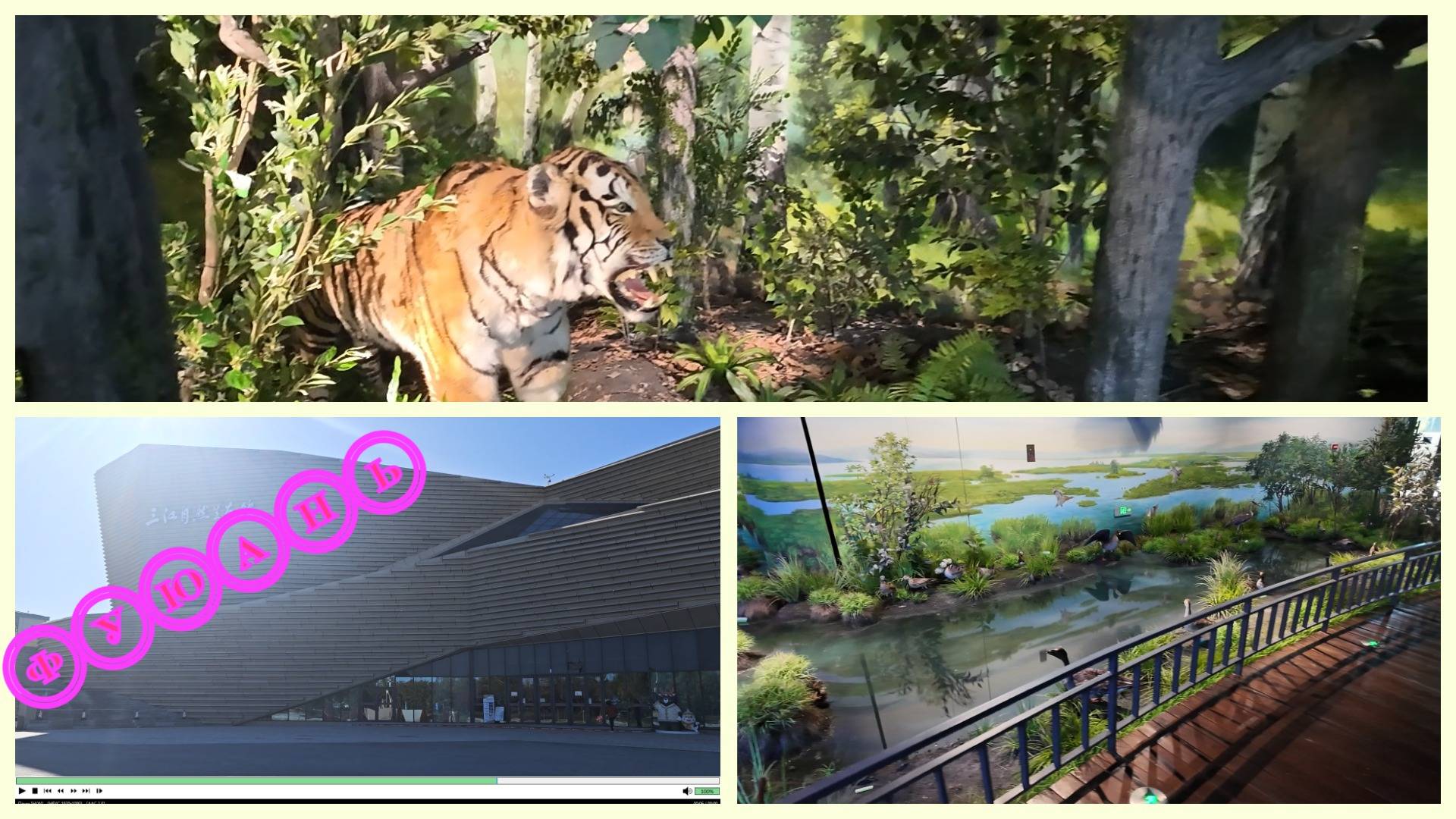 Фуюань 2025 Китайский музей холодноводных рыб Художественный музей Fuyuan