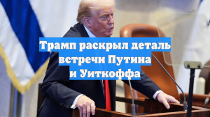 Трамп раскрыл деталь встречи Путина и Уиткоффа