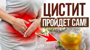 ПРОСТОЙ рецепт при обострении цистита! / Как УКРЕПИТЬ женское здоровье без лекарств?