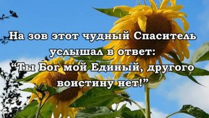 Я верю в Иисуса. Христианское караоке