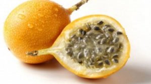 Пермский бродяга на пенсии. Фрукты,Цветы - часть 1.