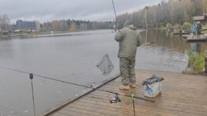 форель