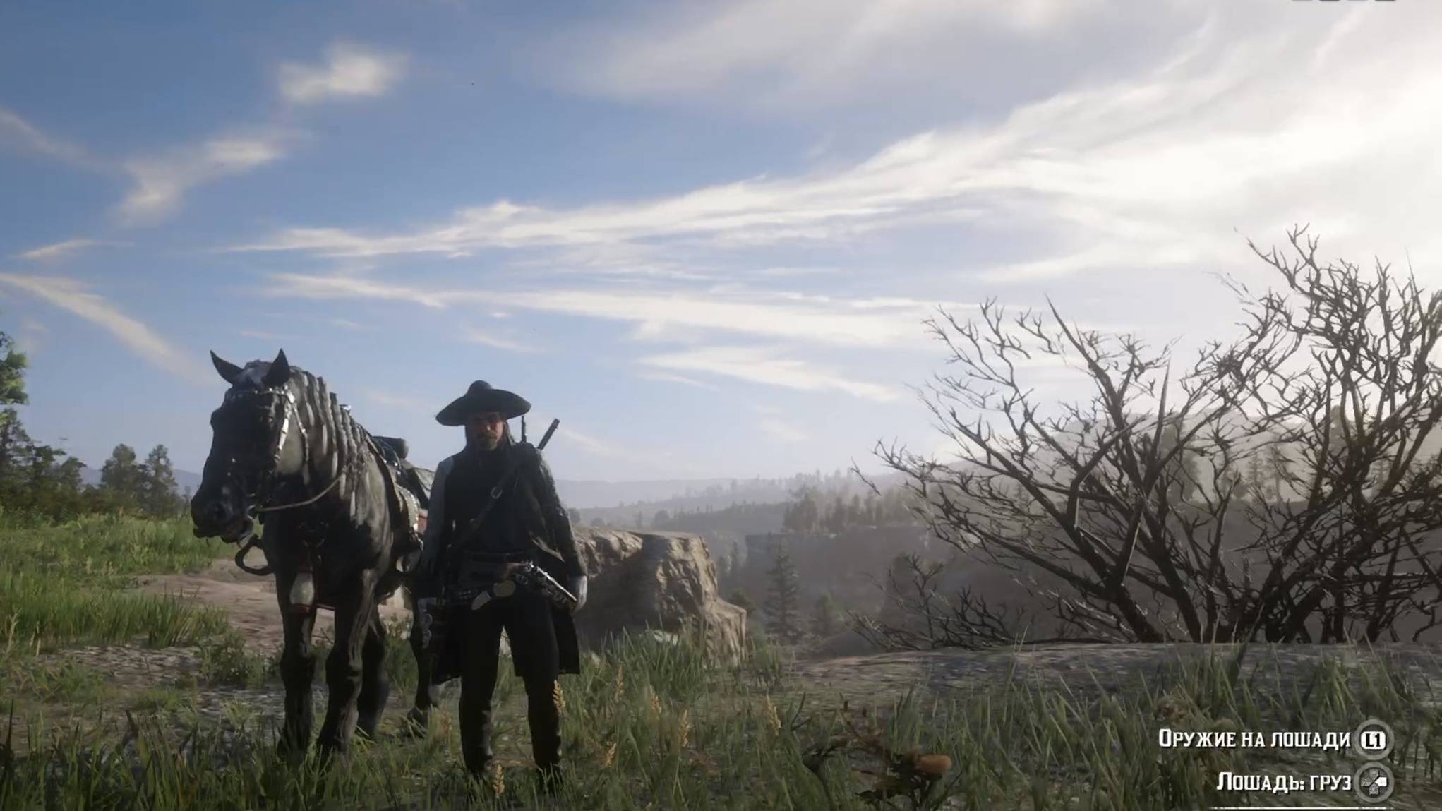 Red Dead Redemption 2. Ежедневные миссии. Разыскиваемые преступники. 16 часть!#RDR2#РП#Игра#Лайк